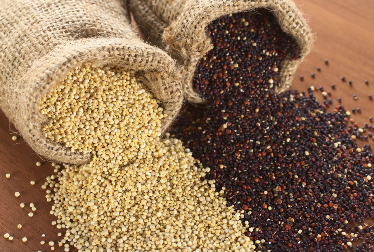 Quinoa: Todo lo que tienes que saber sobre este súper alimento — El  Sabrosista